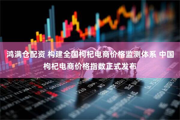 鸿满仓配资 构建全国枸杞电商价格监测体系 中国枸杞电商价格指数正式发布