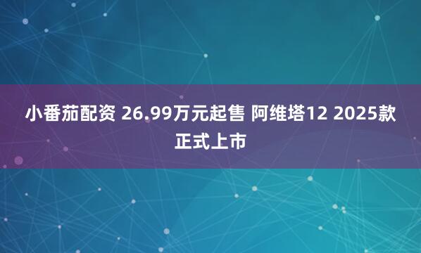 小番茄配资 26.99万元起售 阿维塔12 2025款正式上市