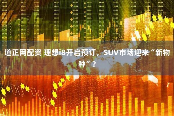 道正网配资 理想i8开启预订，SUV市场迎来“新物种”？
